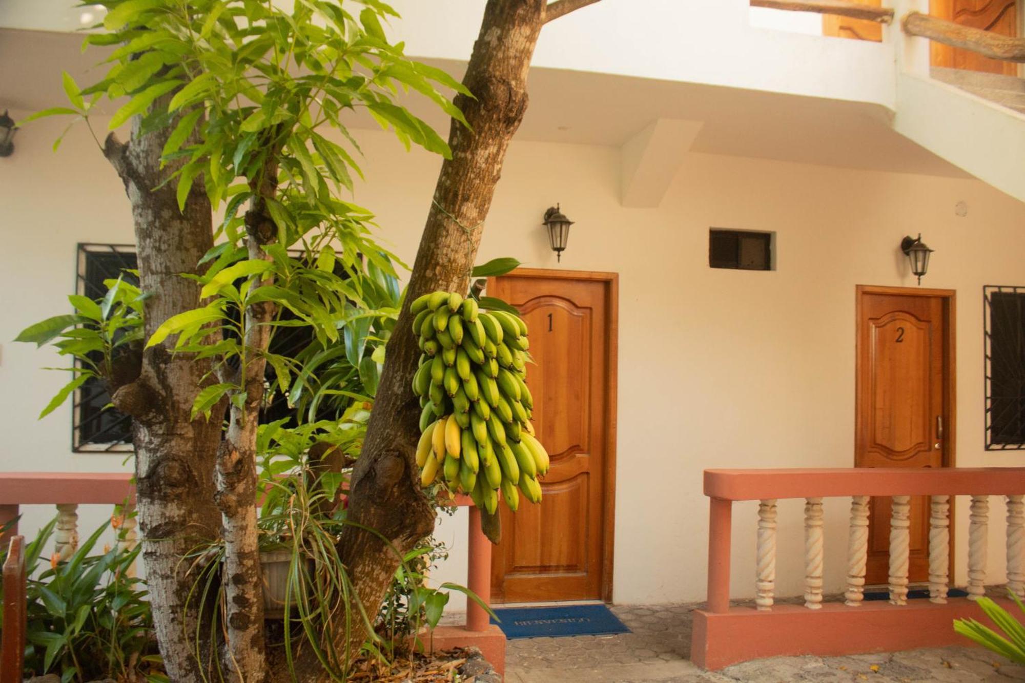 Casa De Nelly Hotel Puerto Baquerizo Moreno Ngoại thất bức ảnh